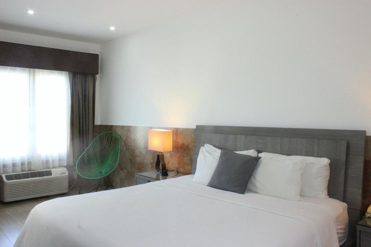 Beverly Hills: Hotel And Business Nuevo Cuscatlan 外观 照片